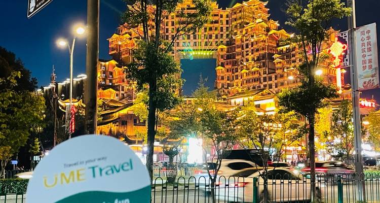 Traditional-style multi-tiered riverside building brightly illuminated at night in a bustling Chinese city, with passing cars and street trees in the foreground.