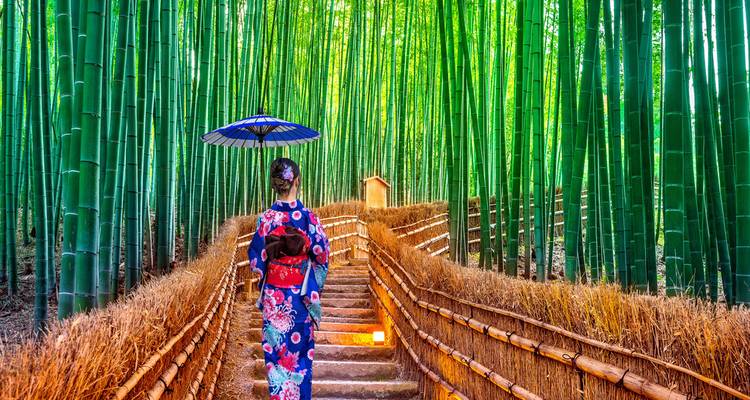 Woman in colorful kimono holding a parasol walks up a stone path through towering green bamboo forest.