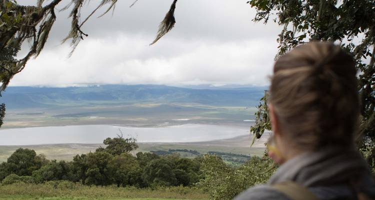 Traveler gazing over expansive Ngorongoro Crater landscape framed by tree moss.