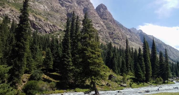 Bosque perenne y picos rocosos que se elevan sobre un arroyo de montaña rápido en Kirguistán.