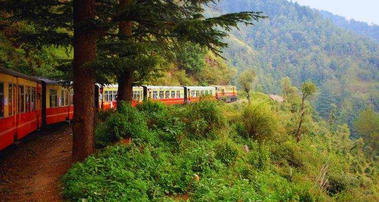 Hellroter Schmalspurzug, der sich durch üppig grüne Himalaya-Berghänge und Zedernbäume schlängelt.