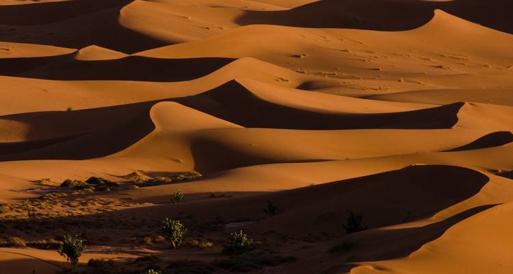 Abstraktes Muster von sanft geschwungenen Sanddünen mit reichen Texturen und tiefen Schatten bei Sonnenuntergang.