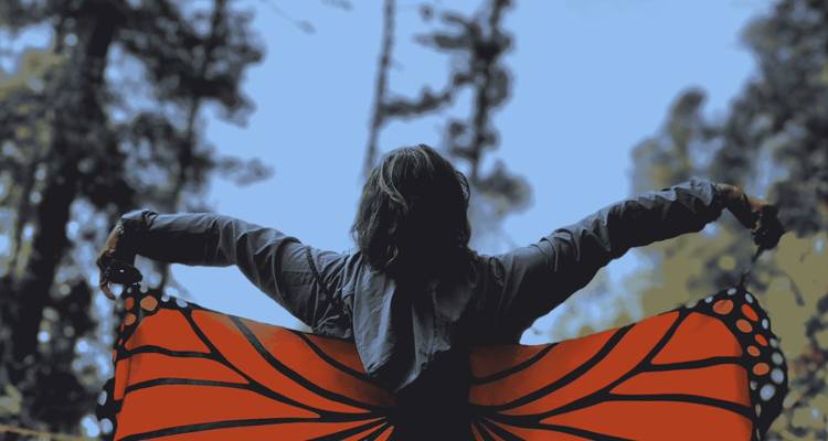 Silueta iluminada desde atrás de una persona abriendo alas de mariposa estilo monarca en un bosque