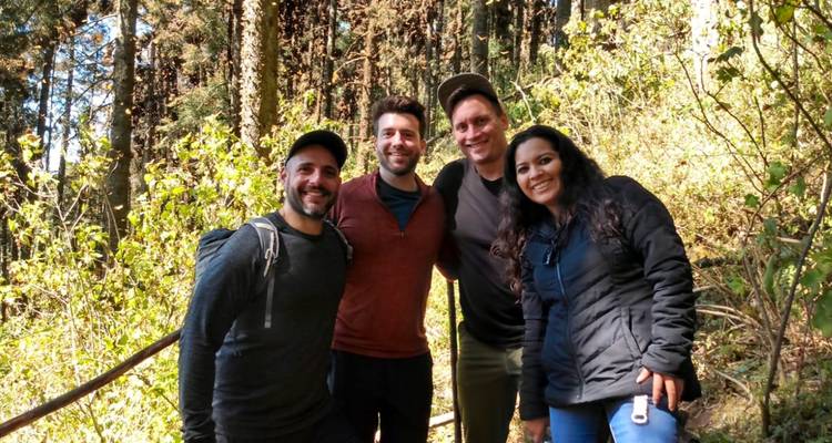 Cuatro excursionistas sonrientes posan en un sendero del bosque rodeados de árboles altos y follaje