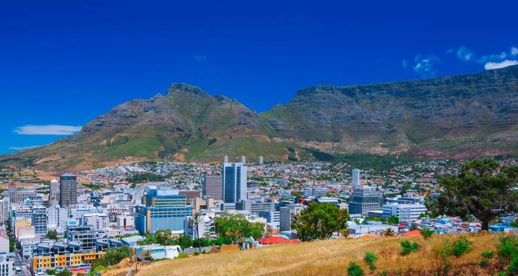 Lebendige Ansicht der Skyline von Kapstadt und grasiger Vordergrund vor tiefblauem Himmel und Tafelberg