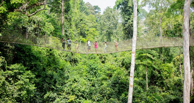 Les aventuriers traversent une longue passerelle suspendue au-dessus d'une luxuriante forêt tropicale verdoyante.