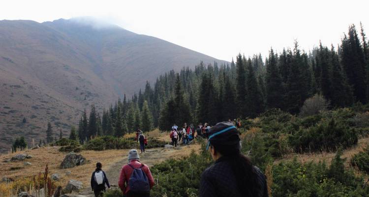 Los excursionistas siguen un sendero de montaña a través del denso bosque de coníferas hacia un pico brumoso.
