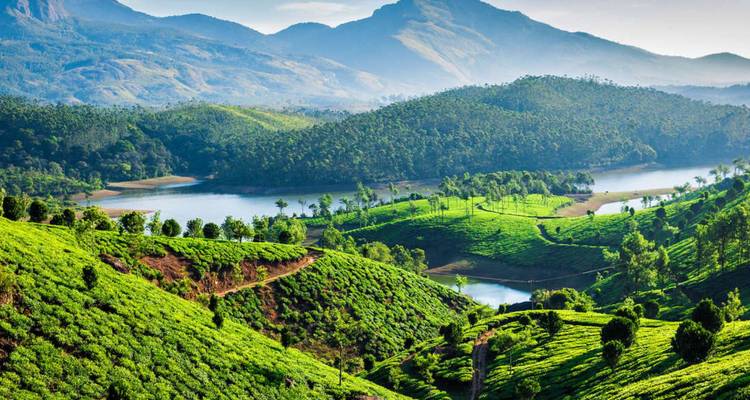 Üppige grüne Teeplantagen, die einen See umgeben, vor der Kulisse blauer Berge in Munnar.