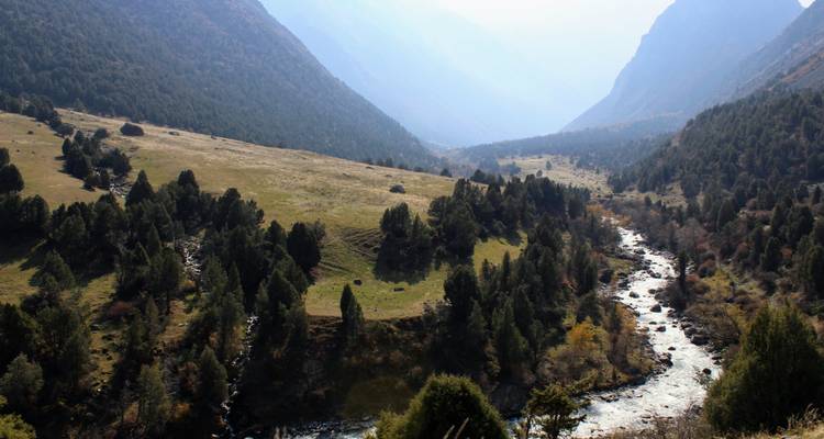 Bergdal uitzicht met dennenbedekte hellingen en een kronkelende rivier die verdwijnt in de nevelige verte.