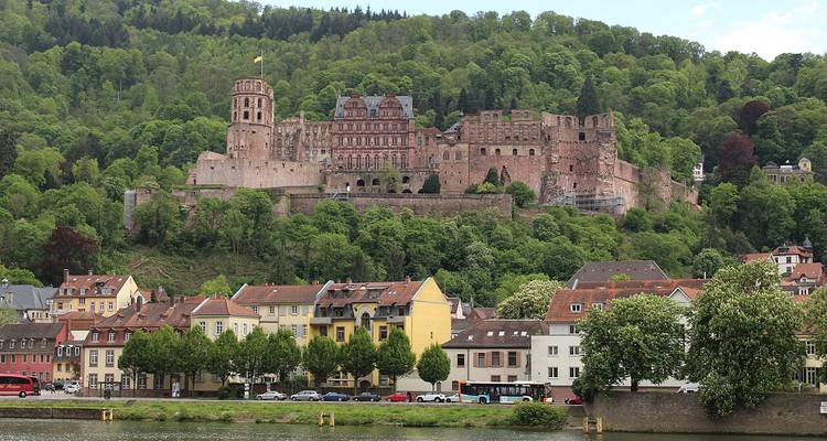 Die Ruinen des Heidelberger Schlosses thronen auf einem bewaldeten Hügel über den Dächern der Stadt.