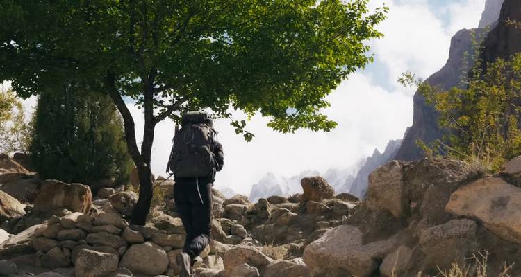 Einzelner Wanderer mit großem Rucksack geht einen felsigen Pfad hinauf unter einem belaubten Baum in Richtung nebelverhangener Berggipfel.
