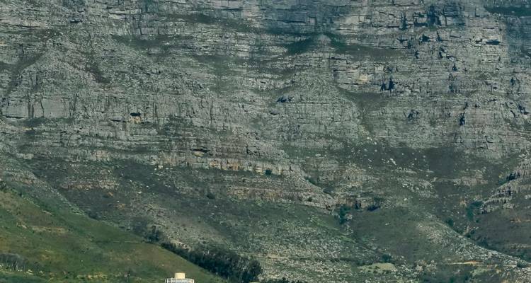 Nahaufnahme der zerklüfteten grauen Felswand des Tafelbergs mit spärlicher Vegetation.
