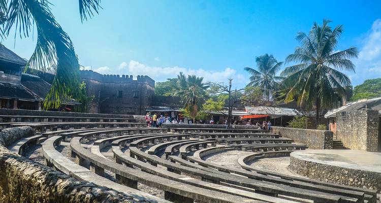 Filas curvas de un anfiteatro histórico de piedra rodeado de palmeras y murallas del casco antiguo bajo un cielo azul brillante.