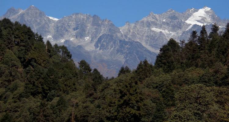 Dicht altijd groene bos dat oprijst naar grillige besneeuwde Himalayatoppen tegen een heldere hemel.