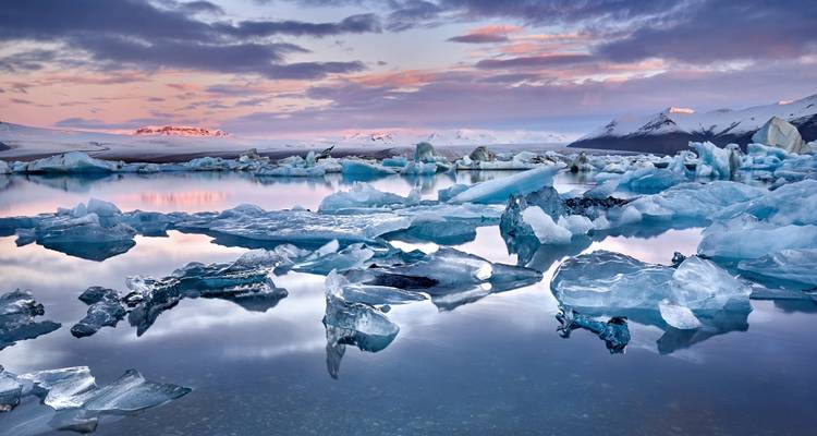 Lagon glaciaire de Jokulsarlon serein au crépuscule avec des icebergs bleus flottants reflétés dans une eau calme.