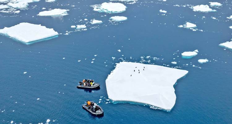 Luftaufnahme von zwei aufblasbaren Expeditionsbooten, die durch eisiges blaues Meer navigieren, das mit Schollen übersät ist, und Pinguinen auf einer Schneeplatte.