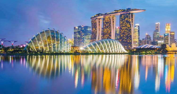 Horizonte nocturno de Singapur con Marina Bay Sands, Supertree Grove y conservatorios de cristal reflejados en el agua.