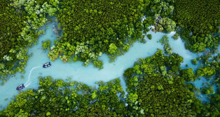Vue aérienne d'une rivière aux palétuviers turquoise sinuant à travers une forêt verte dense avec de petits bateaux.