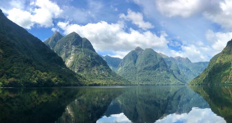 Scène paisible de Fiordland avec des montagnes forestières escarpées se reflétant dans un lac immobile sous un ciel bleu.