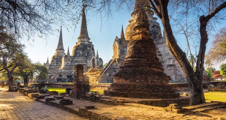 Historische Ziegel- und Stuck-Stupas von Ayutthaya erheben sich zwischen Bäumen im warmen Morgenlicht.