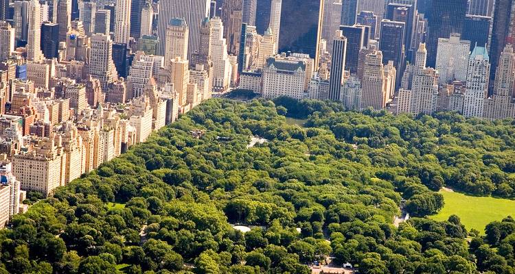Luftaufnahme des üppig grünen Central Park, umgeben von dicht bebauten Wolkenkratzern Manhattans an einem sonnigen Tag.