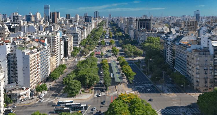 Panoramisch luchtbeeld van een brede boulevard omzoomd met bomen in een bruisende metropool.