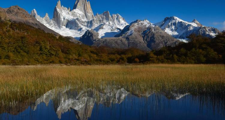 Besneeuwde torenspitsen van Fitz Roy perfect weerspiegeld in een stille moerassige vijver.