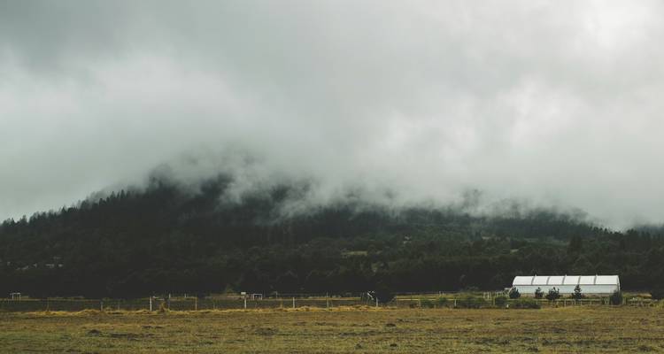 Tiefe Wolken umhüllen einen bewaldeten Berg hinter einem ruhigen Ackerfeld und Gewächshaus und schaffen eine stimmungsvolle Landschaft.
