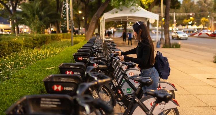 Eine junge Frau mietet ein Fahrrad aus einer Reihe von öffentlichen Fahrrädern auf einer grünen Allee in der Abenddämmerung.