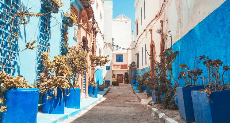 Callejón estrecho de Chefchaouen pintado en vivos tonos de azul con plantas en macetas que bordean las paredes.