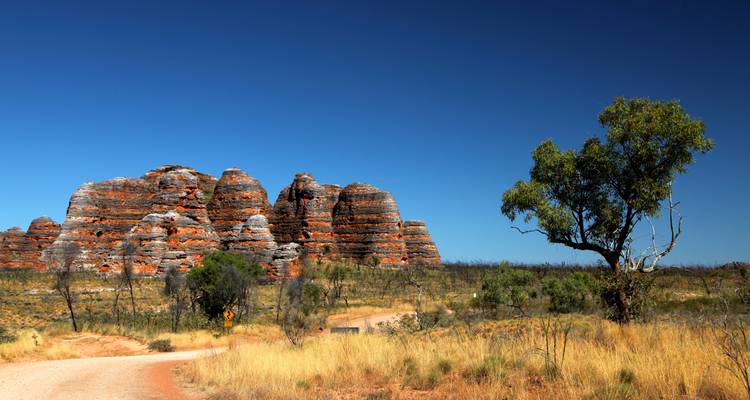 Las distintivas cúpulas de arenisca de Bungle Bungle con forma de colmena se alzan sobre hierba seca y matorrales bajo un cielo azul profundo.