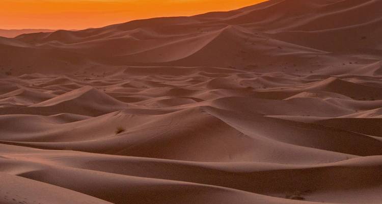 Dunas de arena del Sahara ondeantes brillando en naranja bajo un dramático cielo al atardecer