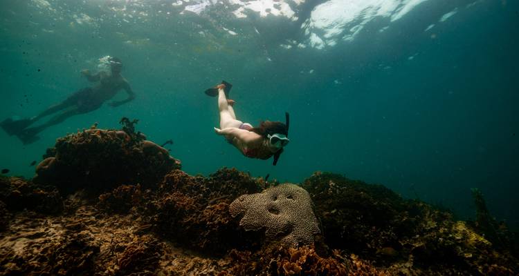 Twee snorkelaars glijden boven een koraalrif in enigszins troebel blauwgroen water.