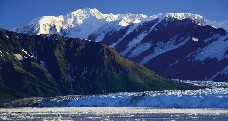 Massive schneebedeckte Berge und ein blauer Gletscher treffen auf eisige Küstengewässer unter einem klaren Himmel.