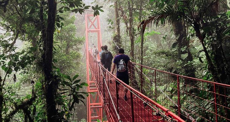 Des voyageurs marchent sur un pont suspendu rouge enveloppé de brume au milieu d'une végétation dense de forêt de nuages.