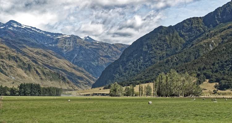 Weite grüne Weide mit grasenden Schafen, eingerahmt von hohen Alpengipfeln und einem teilweise bewölkten Himmel.