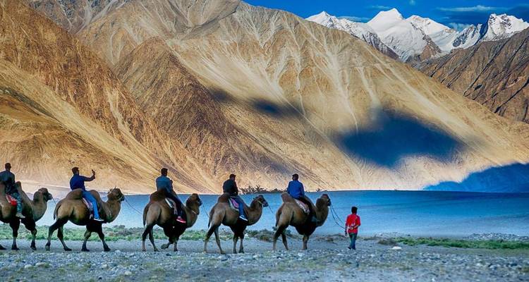 Reihe von Kamelreitern entlang des türkisfarbenen Ufers des Pangong-Sees vor kargen Bergen.