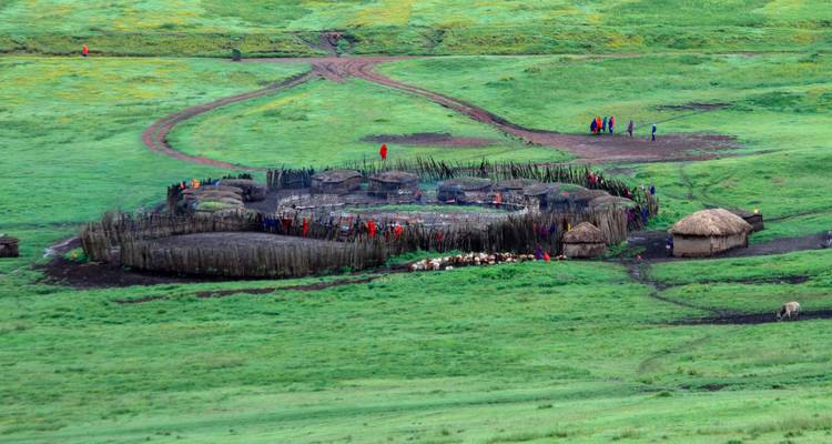 Établissement traditionnel maasaï de boma entouré de clôtures dans une plaine verdoyante des hautes terres.
