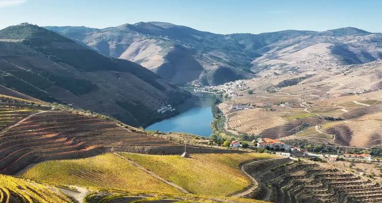 Laderas de viñedos en terrazas que descienden hacia un río serpenteante en el Valle del Duero de Portugal