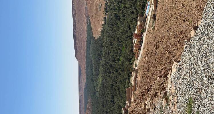 Une vaste oasis verte s'étend le long du fond d'une vallée entourée de collines désertiques rocheuses.