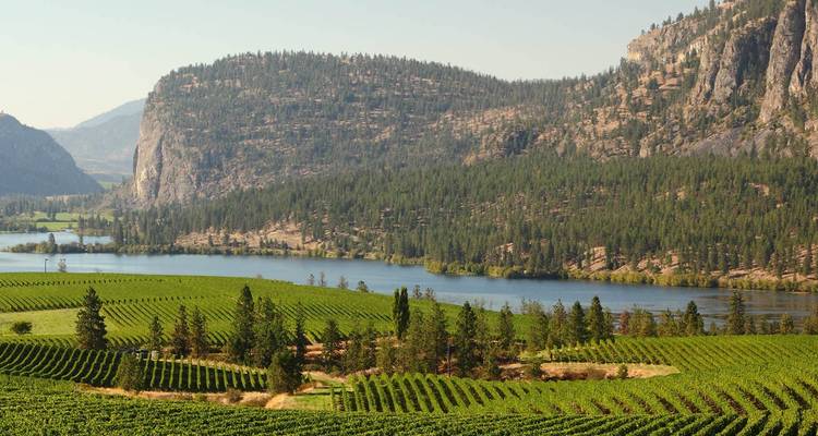 Des vignobles ondulants longeant un lac tranquille encadré par des collines boisées et des falaises rocheuses dans la lumière chaude de l'après-midi.