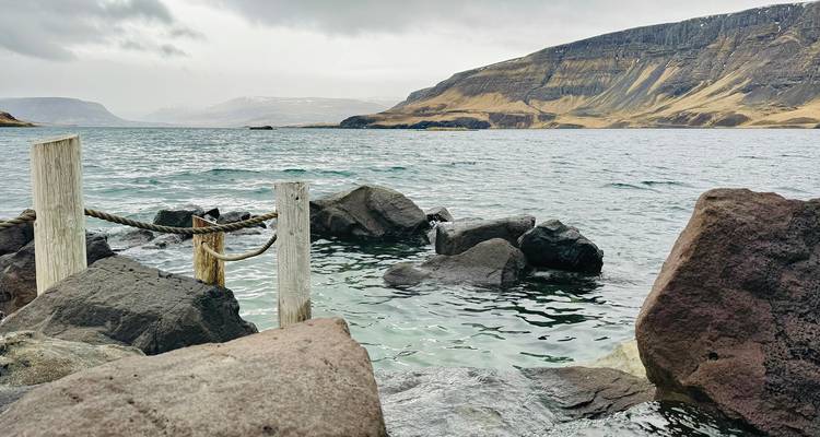 Littoral rocheux avec des poteaux liés par des cordes surplombant un fjord islandais glacial par une journée grise