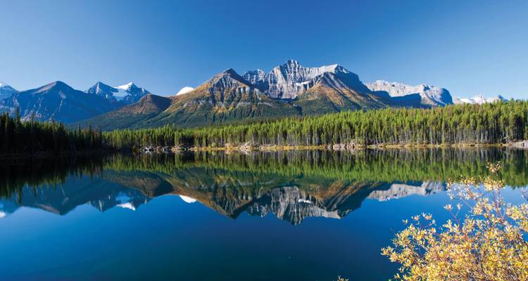 Ein spiegelglatter Alpensee reflektiert perfekt einen dichten Kiefernwald und zerklüftete Gipfel unter einem leuchtend blauen Himmel.