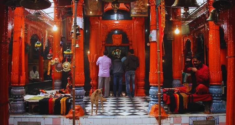 Des dévots se tenant devant l'intérieur d'un sanctuaire orange vivement peint tandis qu'un chien erre à proximité.