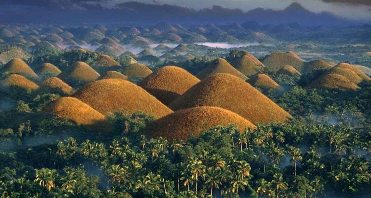 Endless vista of symmetrical Chocolate Hills covered in green-brown grass rising above dense jungle at dawn mist.