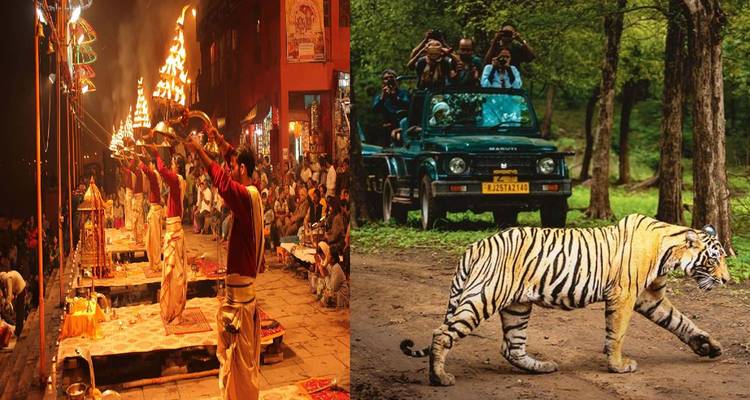 Collage de marco dividido que muestra la ceremonia vespertina del Ganga Aarti con sacerdotes sosteniendo lámparas encendidas y un tigre caminando junto a un jeep de safari.
