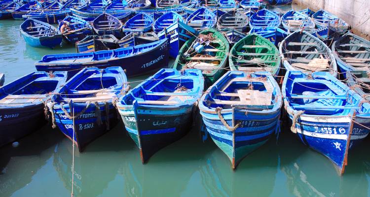Filas de botes de pesca de madera azul brillante están amarrados lado a lado in un puerto tranquilo.