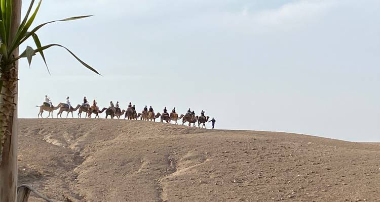 Una larga caravana de camellos se siluetea contra el pálido cielo del desierto en una cresta arenosa.