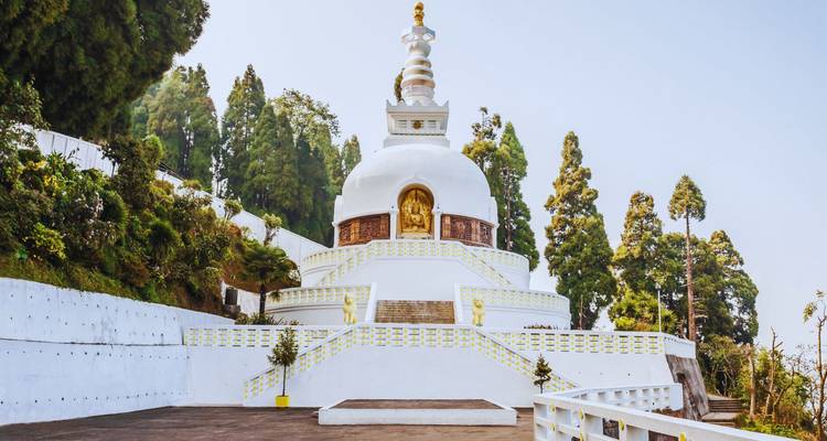 Weiße Friedenspagoda mit goldenem Buddha-Relief auf bewaldetem Berghang.