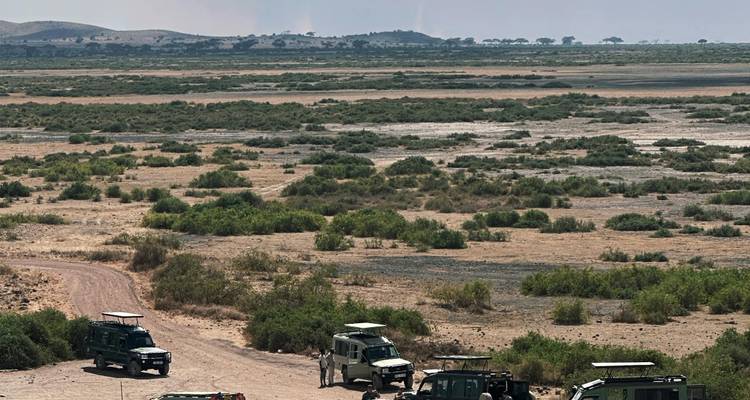 Ansammlung von Safari-Fahrzeugen, die auf einer weiten, trockenen Ebene geparkt sind, die mit Sträuchern und fernen Staubteufel übersät ist.